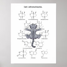 Cat attractant
