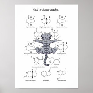 Cat attractant poster