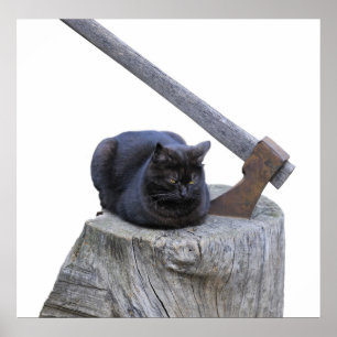 cat, ax and life poster