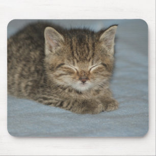 cat baby mouse mat