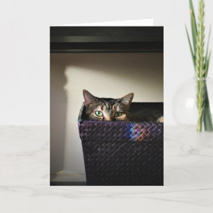 Cat Basket, card