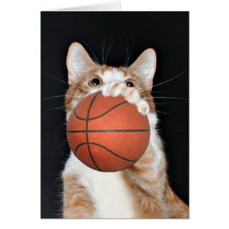 Cat basketball