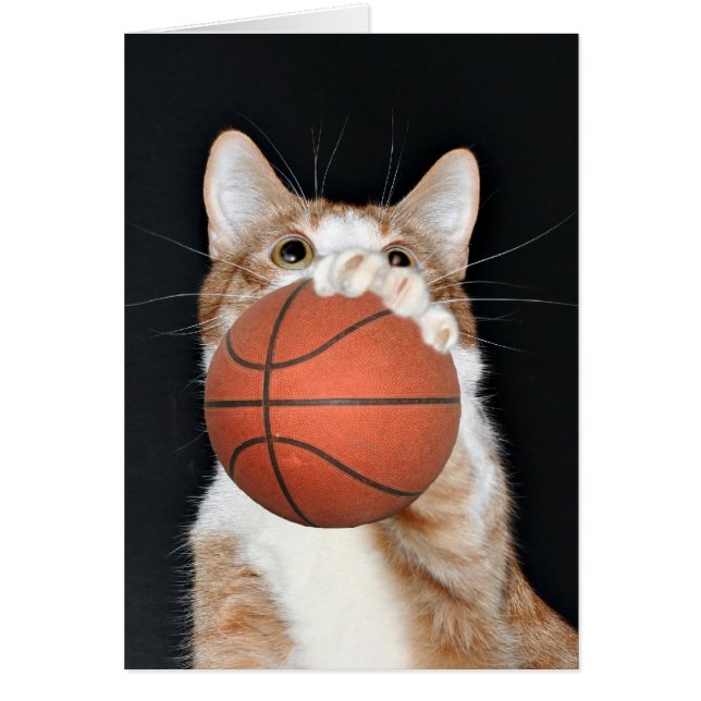 Cat basketball (Front)