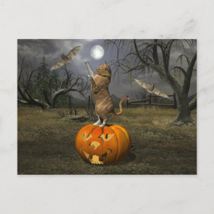 Cat Batting Bats Postcard