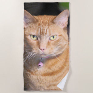 Cat  beach towel