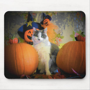 Cat Between Pumpkins Mouse Mat