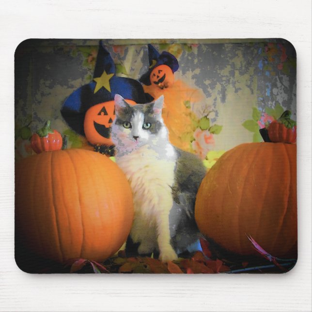 Cat Between Pumpkins Mouse Mat (Front)