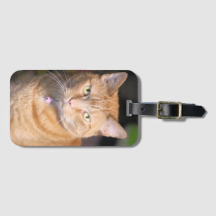 Cat Bicycle Playing Cards Luggage Tag
