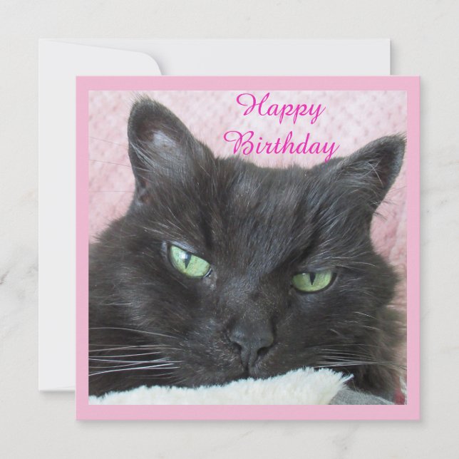 Cat Birthday Card (Front)