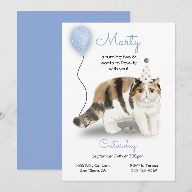 Cat Birthday Party Invitation (Front/Back)