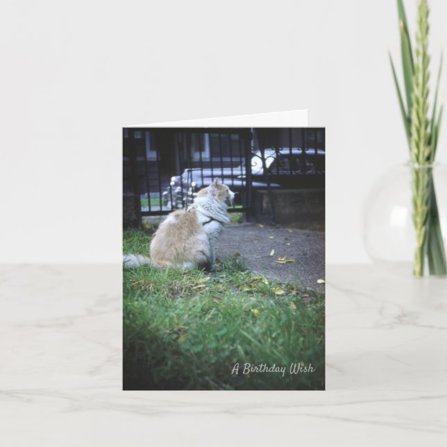 Cat Birthday Wish Thank You Card (Front)