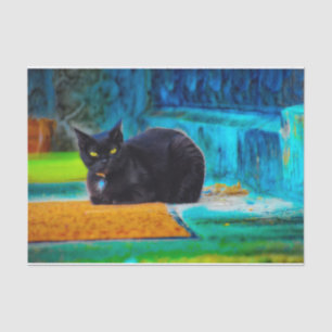 Cat Black Cute Colourful Blue Orange Decoupage Tissue Paper