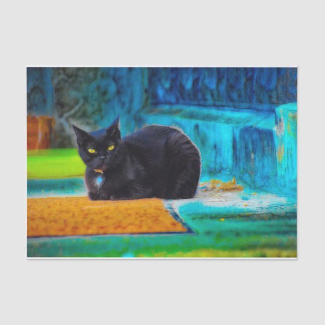 Cat Black Cute Colourful Blue Orange Decoupage Tissue Paper (Front)