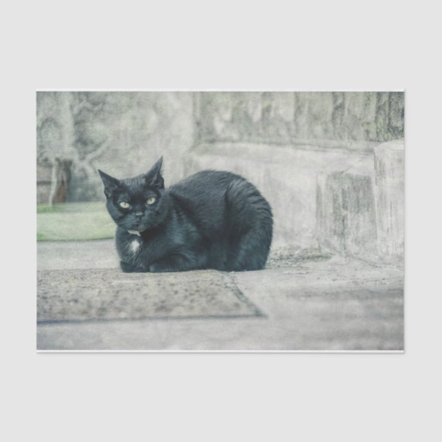 Cat Black Cute Vintage Antique Decoupage Tissue Paper (Front)