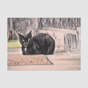 Cat Black Cute Vintage Antique Sketch Art Tissue Paper