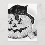 Cat Black Orange Pumpkin Halloween Postcard<br><div class="desc">Get your Party going with this black cat and pumpkin combination.</div>