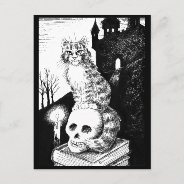 cat black & white Maine Coon Halloween postcard (Front)