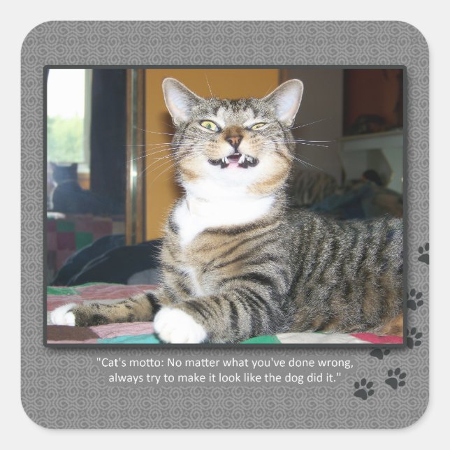 Cat Blames Dog Square Sticker (Front)