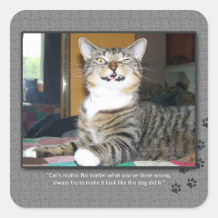 Cat Blames Dog Square Sticker