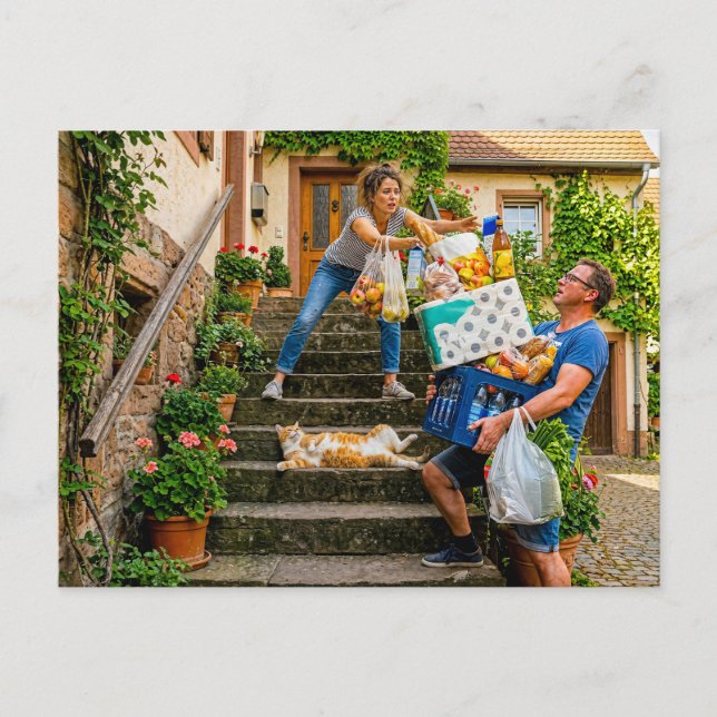 Cat Blocks Staircase During Groceries Postcard (Front)