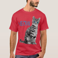 Cat  Blue Eyed Grey Meow Loves Cats 