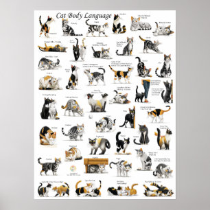 Cat Body Language Poster