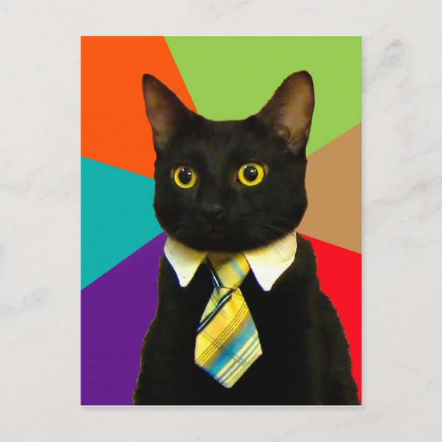 Cat-boss in tie postcard (Front)