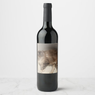 Cat Bottle Label