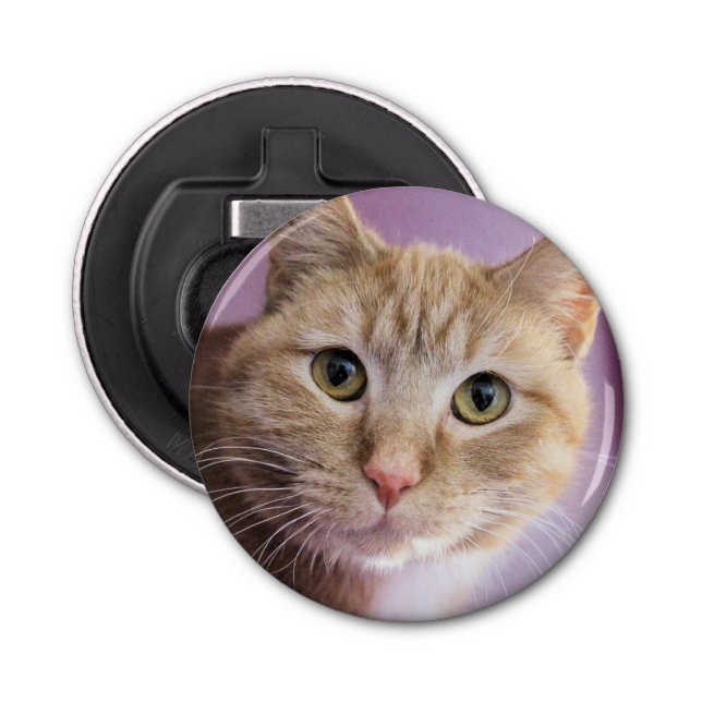 Cat Bottle Opener (Front)