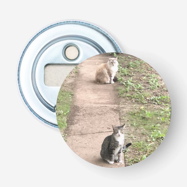 Cat Bottle Opener (Front)