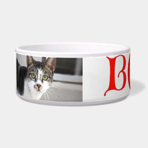 Cat Bowl