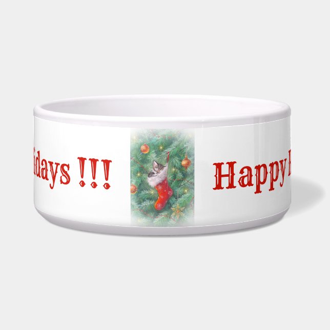 Cat Bowl (Front)