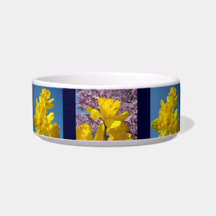 Cat Bowl nature custom Spring Daffodils Kitty