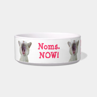 Cat bowl - noms now!