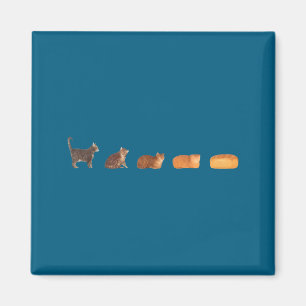 Cat bread loaf evolution funny cat mom cute kitten magnet