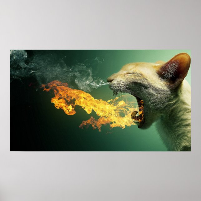 Cat Breathing Fire Poster (Front)
