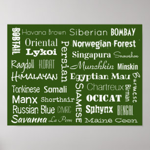 Cat Breeds Poster