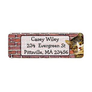 Cat Brick Wall  background  Address Label