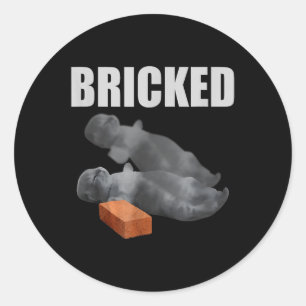 Cat Bricked Funny Knocked Out Meme Silly Cats Sayi Classic Round Sticker