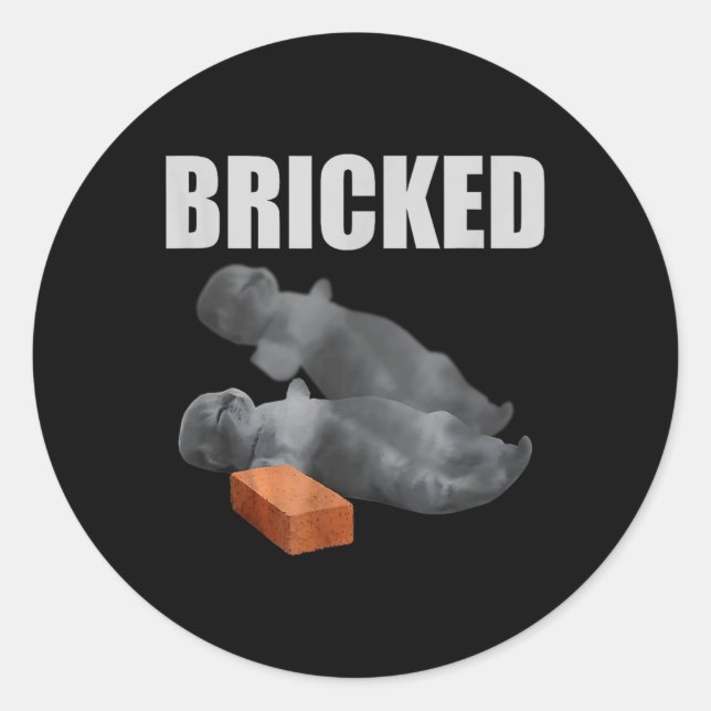 Cat Bricked Funny Knocked Out Meme Silly Cats Sayi Classic Round Sticker (Front)