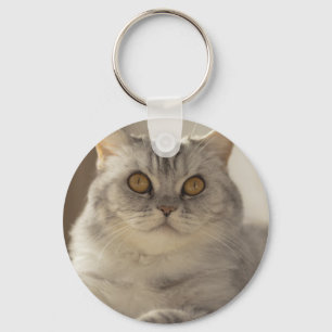 Cat, British short hair, Feline Key Ring