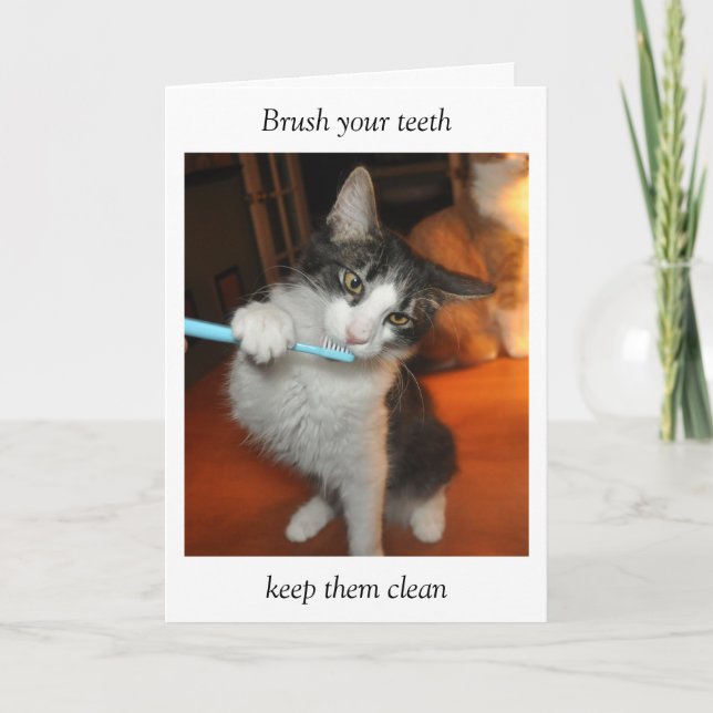 Cat brushing teeth card (Front)