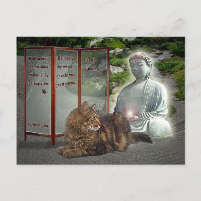 Cat-Buddha nature Postcard (Front)
