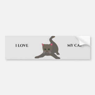 CAT bumper sticker. Bumper Sticker