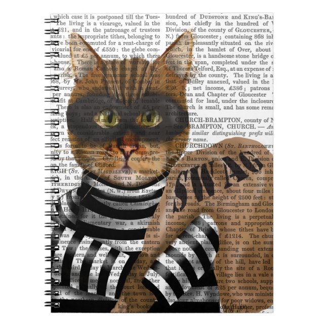 Cat Burglar Notebook (Front)