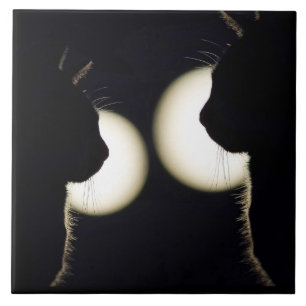 Cat Burglars Spotted Tile