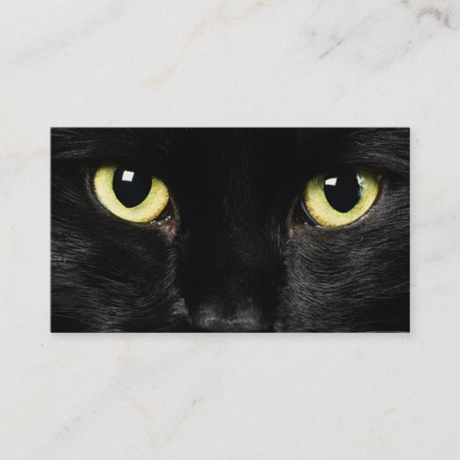 Cat Business Card (Front)