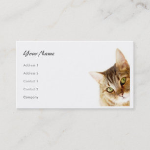 Cat Business Card