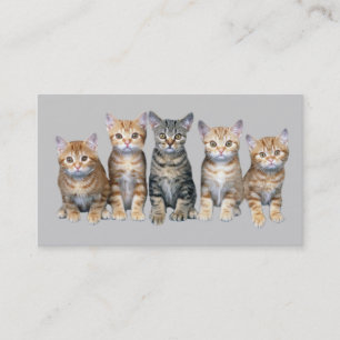 Cat Business Card
