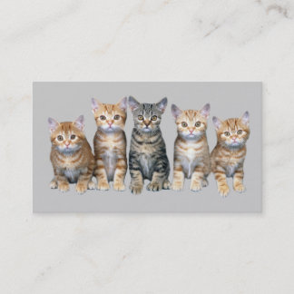 Cat Business Card